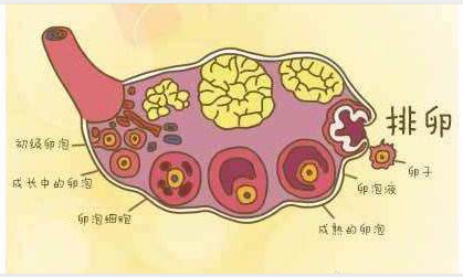 ���в���֢״�������