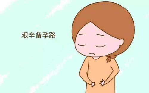 �����������ƻָ�