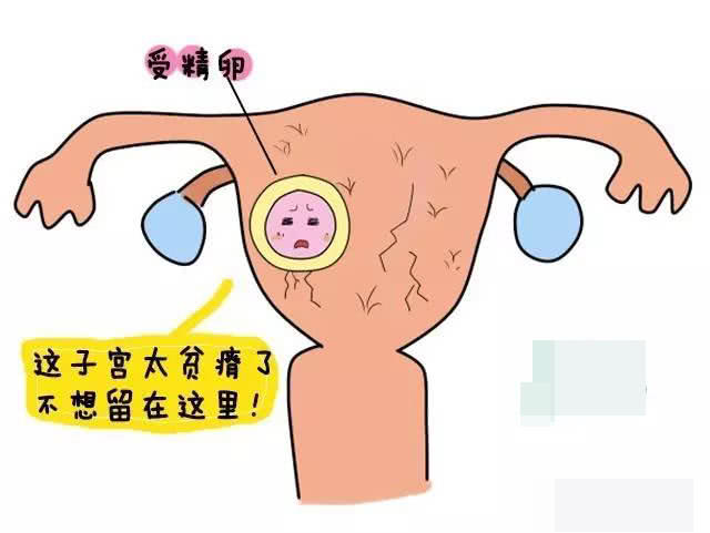 ֢״
